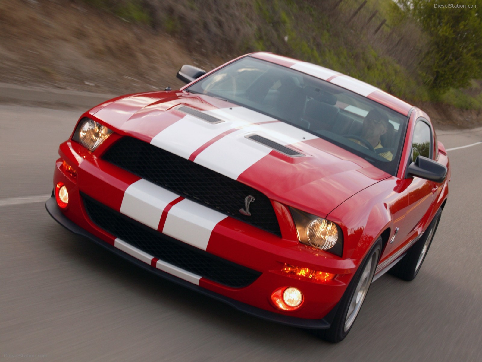 Ford Shelby Cobra GT500
